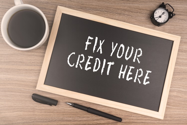Credit Repair Businesses
